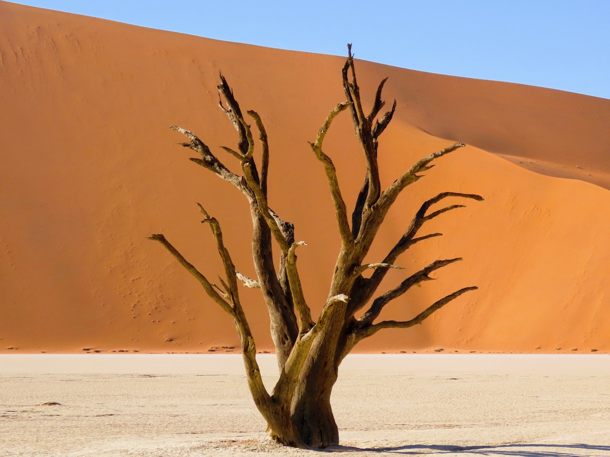 How to Spend a Perfect Day in Sossusvlei,&nbsp;Namibia